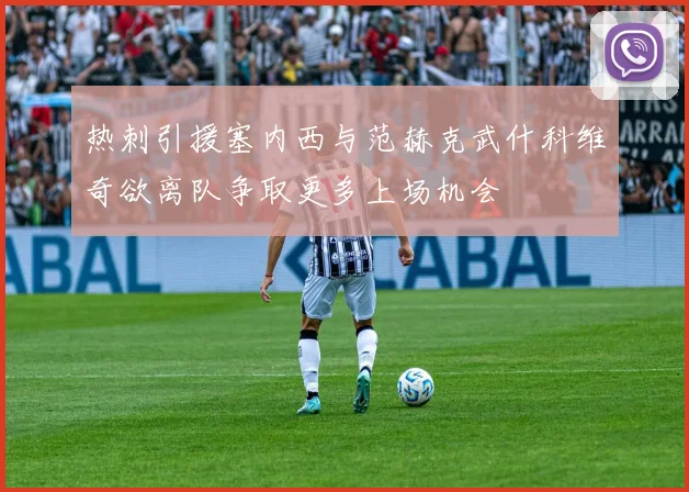 热刺引援塞内西与范赫克武什科维奇欲离队争取更多上场机会